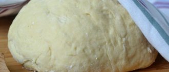 Unleavened yeast dough