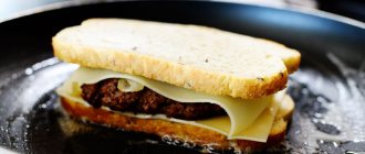 sandwiches with minced meat