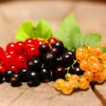 Black, white and red currants.jpg