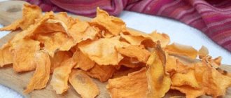 pumpkin chips in the oven, slow cooker, dryer and frying pan