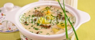 Грибной суп из шампиньонов с плавленым сыром – классический рецепт
