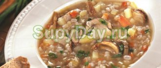 Mushroom soup with barley - Classic