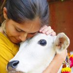 Indian woman with a cow