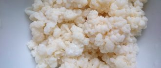 How long can kefir grains be stored and instructions for use?