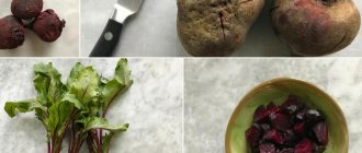 how to cook beets for borscht