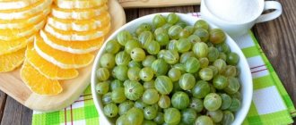 How to properly freeze gooseberries for the winter in the freezer: the best ways