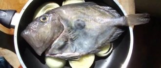 How to cook dory fish? 5 recipes for preparing delicious fish 