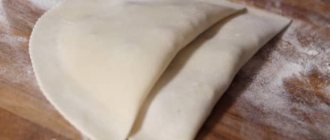 How to make dough for chebureks using mineral water according to a step-by-step recipe with photos