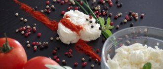 What spices and seasonings are needed for cottage cheese dishes, and what should not be added?