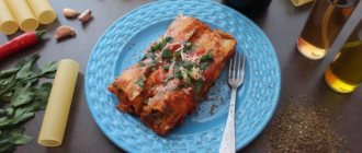 Cannelloni with minced meat and bechamel sauce, cream, cheese. Recipe 