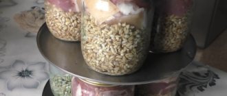 Porridge with meat in an autoclave at home - 4 recipes