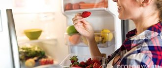 Клубнику (а правильнее сказать, землянику) можно сохранить свежей в холодильнике в течение нескольких дней