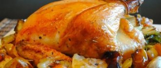 Chicken with apples in the oven