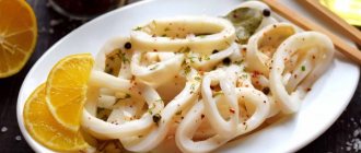 Marinated squid. Homemade recipes 