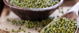 Mung bean - recipes for preparing delicious, healthy and original dishes