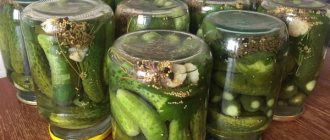 Cucumbers with mustard seeds photo recipe