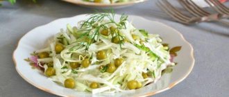 Vegetable salad Motley - recipes