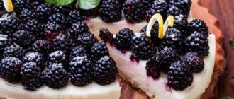 Blackberry pie - 9 unusual recipes for delicious blackberry pie