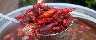 Why you can&#39;t boil dead crayfish