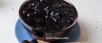 Instant recipes with blackcurrants