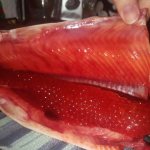 Fish with red caviar