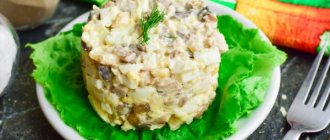 Dubok salad with chicken and champignons. Recipe 