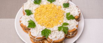 Salad with crackers and canned food. Recipes with photos 