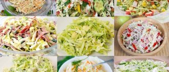 cabbage salads 18 recipes