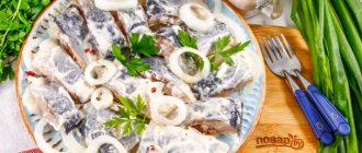Herring in mayonnaise with onions