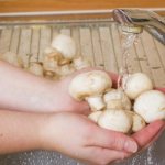 Whole champignons in the microwave. Recipes with photos step by step 