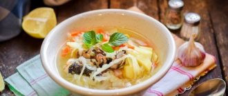 Cabbage soup with canned fish recipes with photos step by step