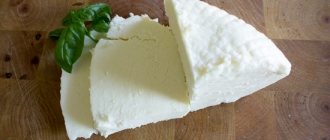 Composition of Adyghe cheese and its health benefits