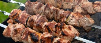Pork steak kebab