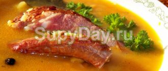 Beef rib soup - quick recipe