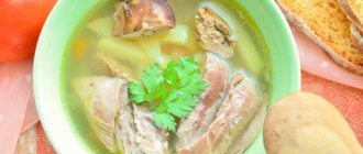 Homemade rooster soup with noodles. Recipes with photos 