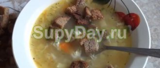 Homemade field soup