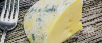 Сыр покрылся плесенью: можно ли его есть?