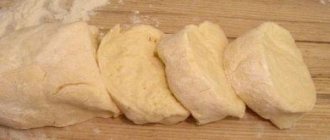 dough for flatbreads in a frying pan