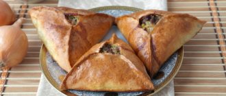 Треугольники с мясом и картошкой - татарские эчпочмаки или самса? Рецепты треугольников с мясом и картошкой из разного теста