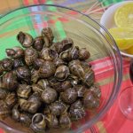 Snails fried with rosemary
