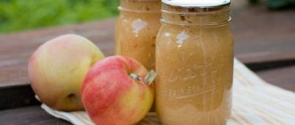 Applesauce - 8 simplest recipes for the winter, stage 1