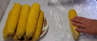 Freezing corn