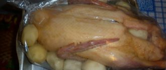 Baked duck in a sleeve in the oven - 5 recipes for cooking at home