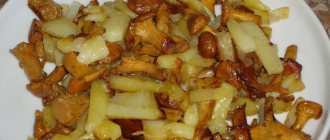 Fried potatoes with chanterelles on a plate